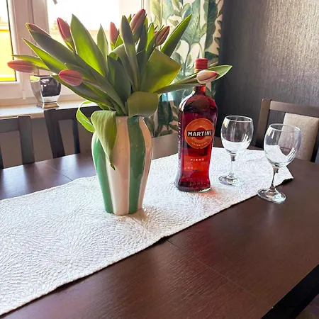 Homely Apartment Walcz